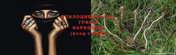 марки nbome Армянск