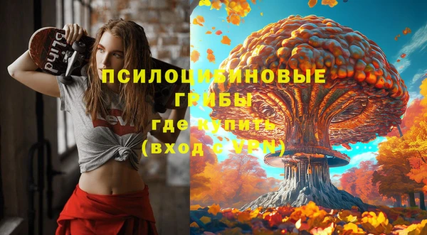 прущая мука Аркадак